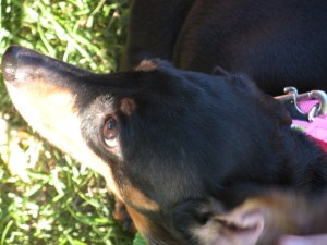 Taking a break from all the madness.