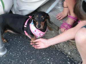 Thumbelina presses the flesh outside the restaurant where we had dinner with Beth & Noah.