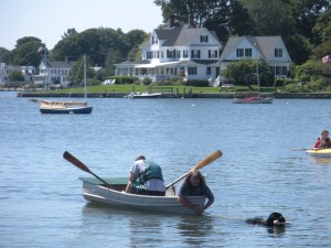 Newfie water rescue demonstration.  The Newfie is pulling the boat!
