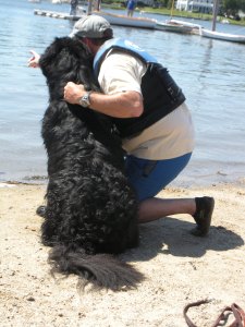 One of the Newfies get direction from his handler before being sent out into the water.