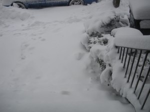 View from the front door, BEFORE shoveling.