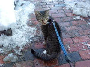 Wait!  What was that?