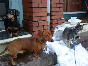 The Three Musketeers.