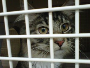 Moon says, "let me OUT!"