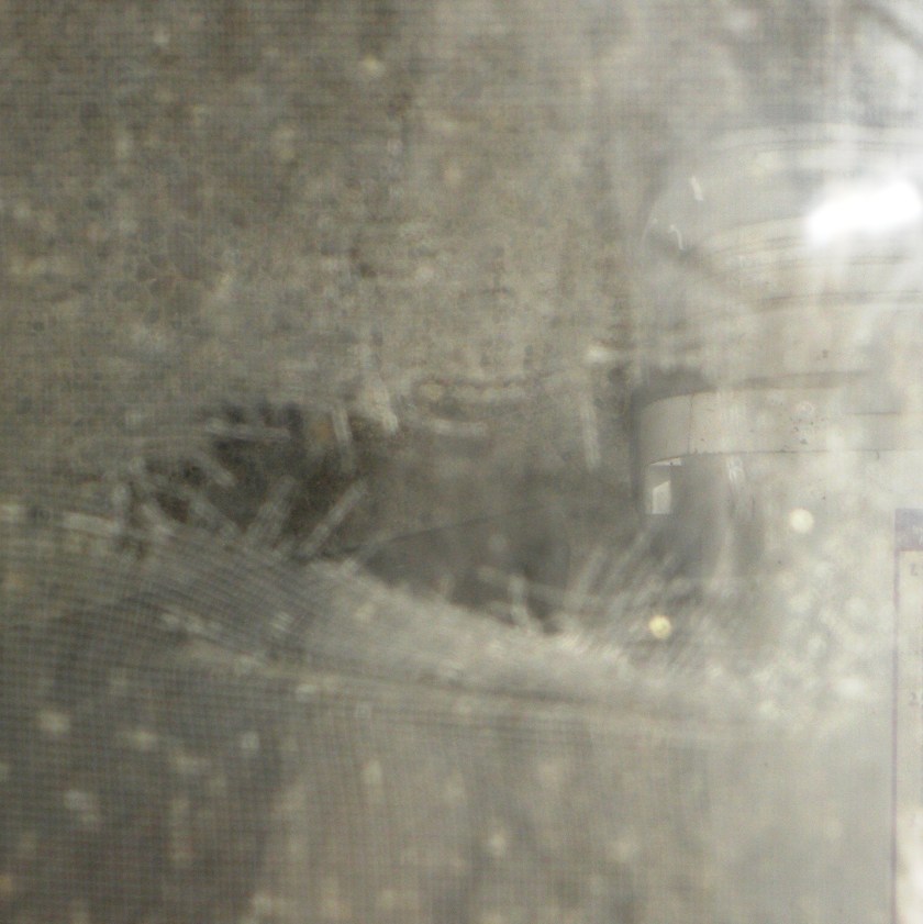 Ah Bucky, Bucky, wherefore art thou, Bucky?