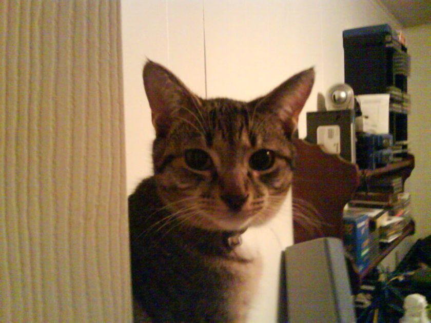 Scratch Fury Destroyer of Worlds