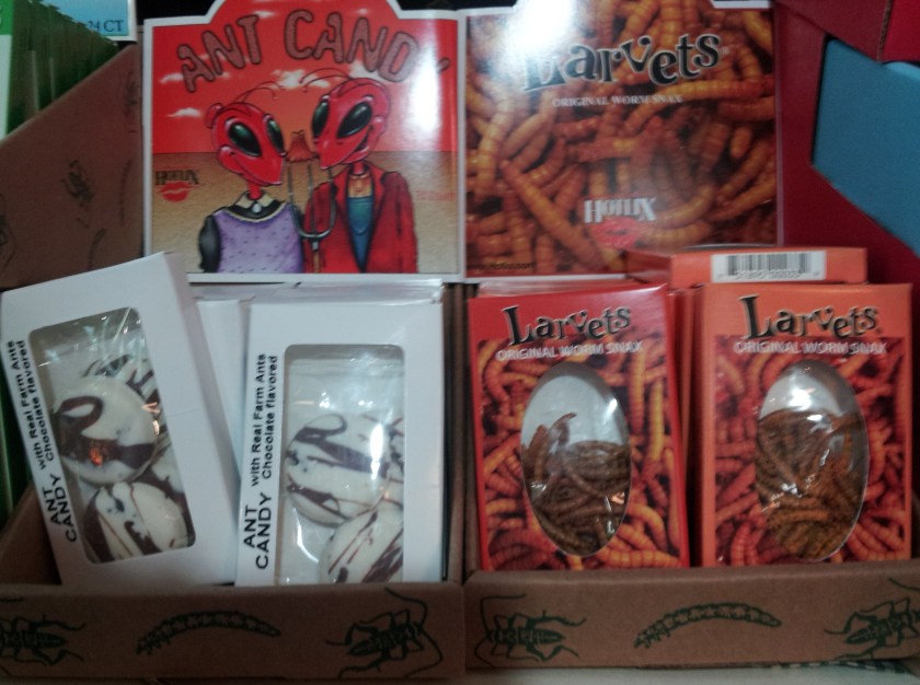 Chocolate covered ants and BBQ mealworms