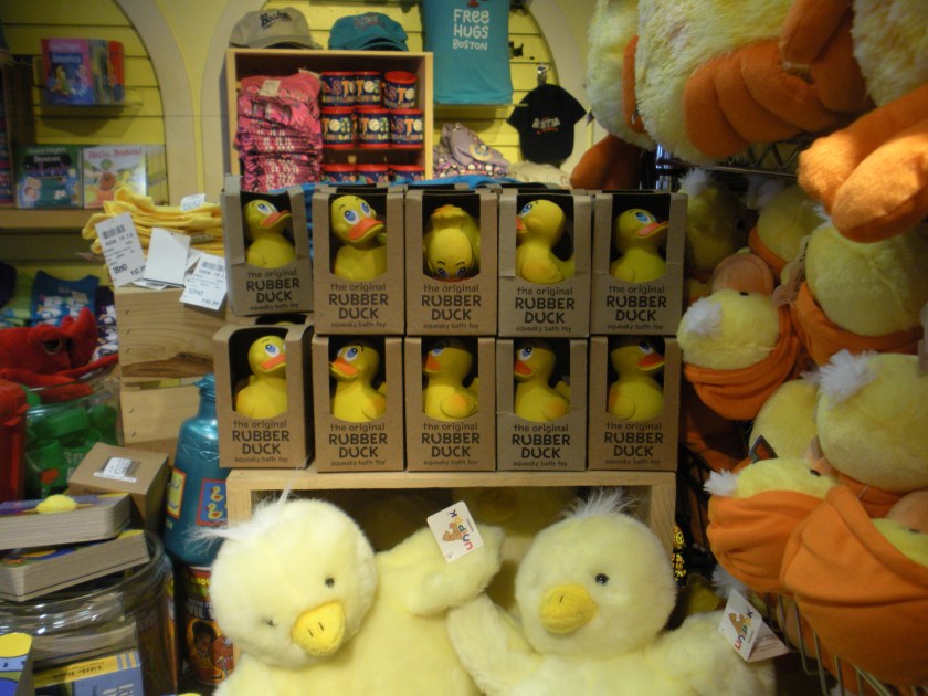 See? Lots of ducks.
