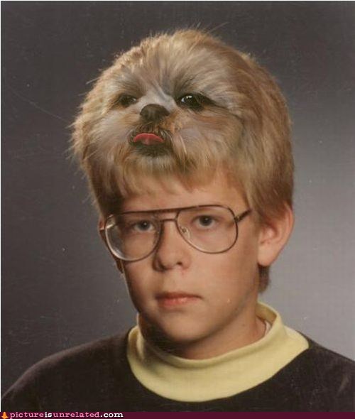 disturbing pic is disturbing