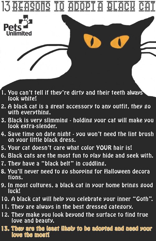 adopt a black cat, it's good for you