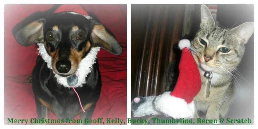 Wishing you and yours a very merry, even if Santa does have a mouse in his beard!