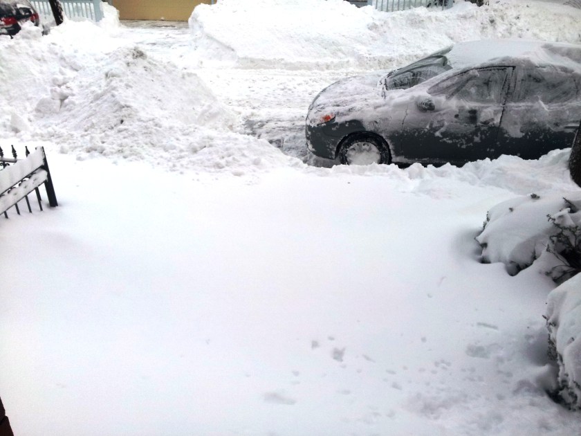 The tops of that metal fence you see off to the left of the photo come up to about my ribcage.  That is a lot of snow to clear, folks.