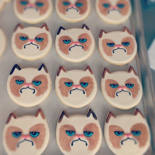 grumpy cat cookie