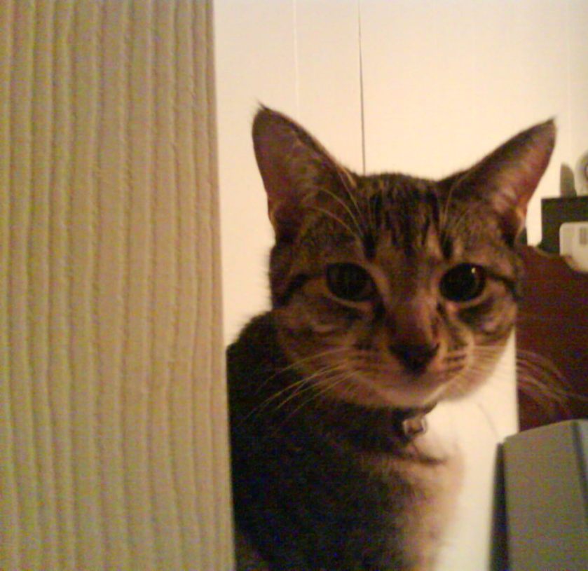 You never know when he's listening around a doorway.  And he's always pushing for a promotion.  Just ask Bucky.