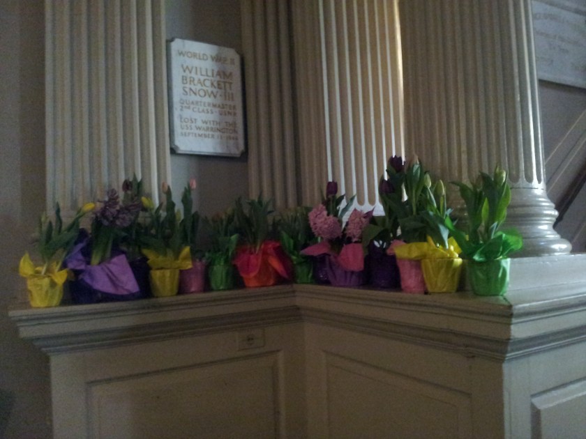 There were a lot of these little potted flowers that were given away to congregation members and visitors at the end of the service.  