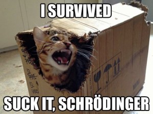 suck it schrodinger