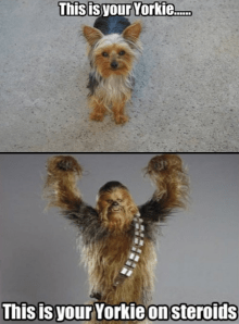 Wow, this is absolutely right on.