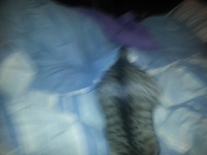 Heading upstairs for dinner.  