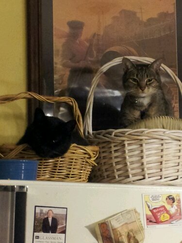 20140205_203814.jpg image