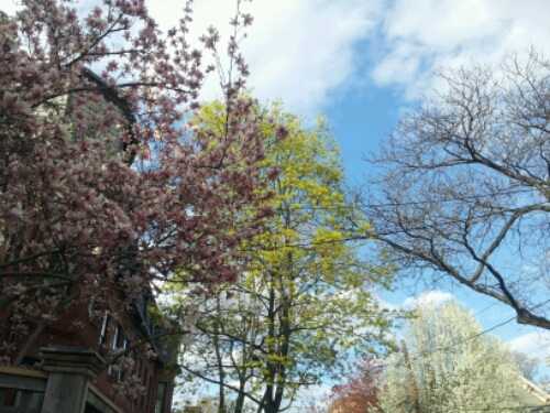 20140502_173221.jpg image