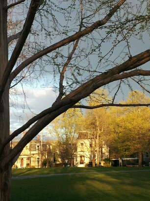 20140506_191501.jpg image