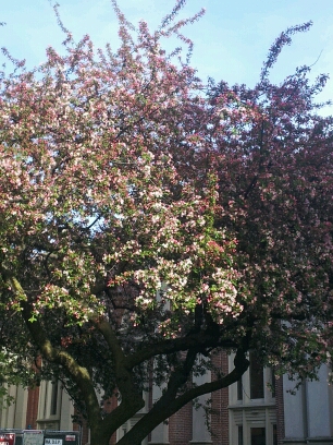 20140507_172932.jpg image