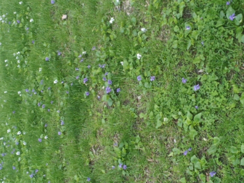 20140507_181223.jpg image