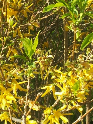 20140507_181313.jpg image