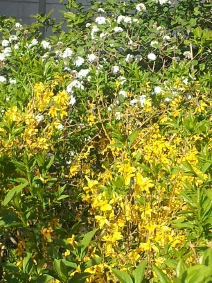 20140507_181331.jpg image