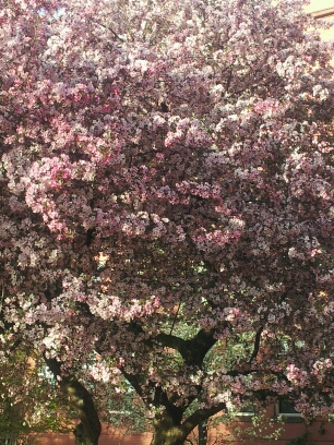 20140507_181557.jpg image