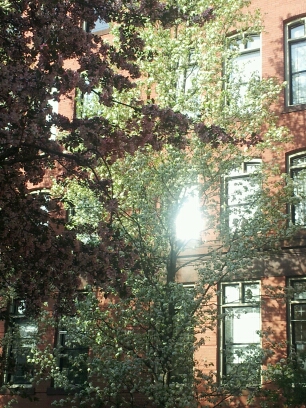 20140507_181611.jpg image