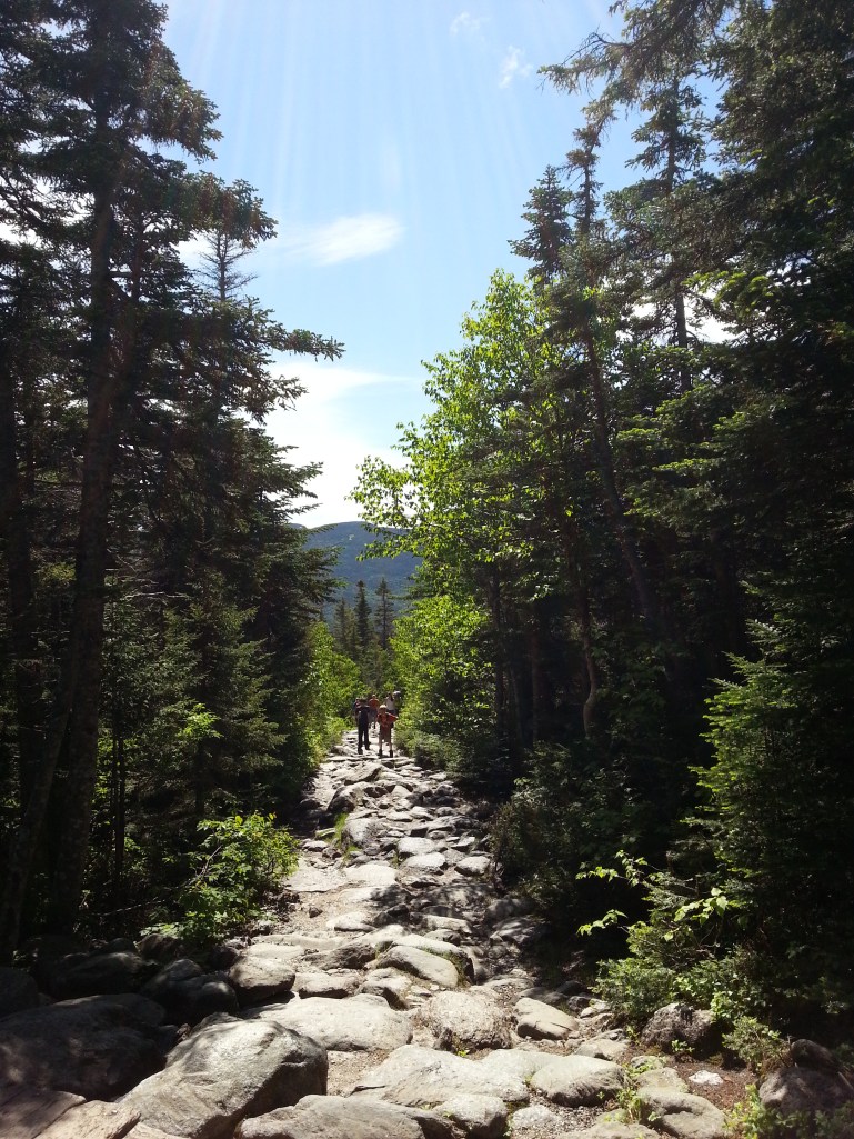 Nice neat little gravel trails with wooden steps?  Not so much here. 