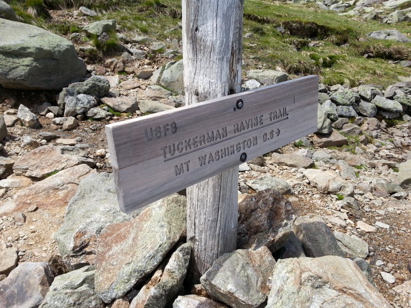 That may not seem like much distance, but believe me, it's FOREVER. 