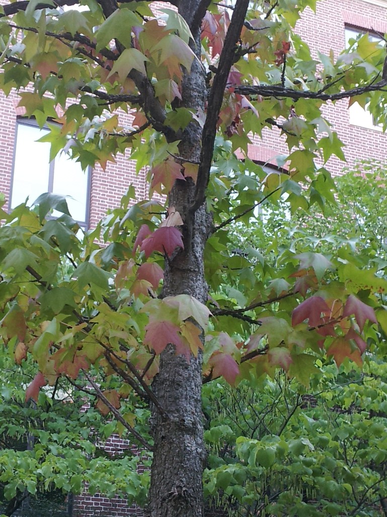 This one is easier, you have to see it here.