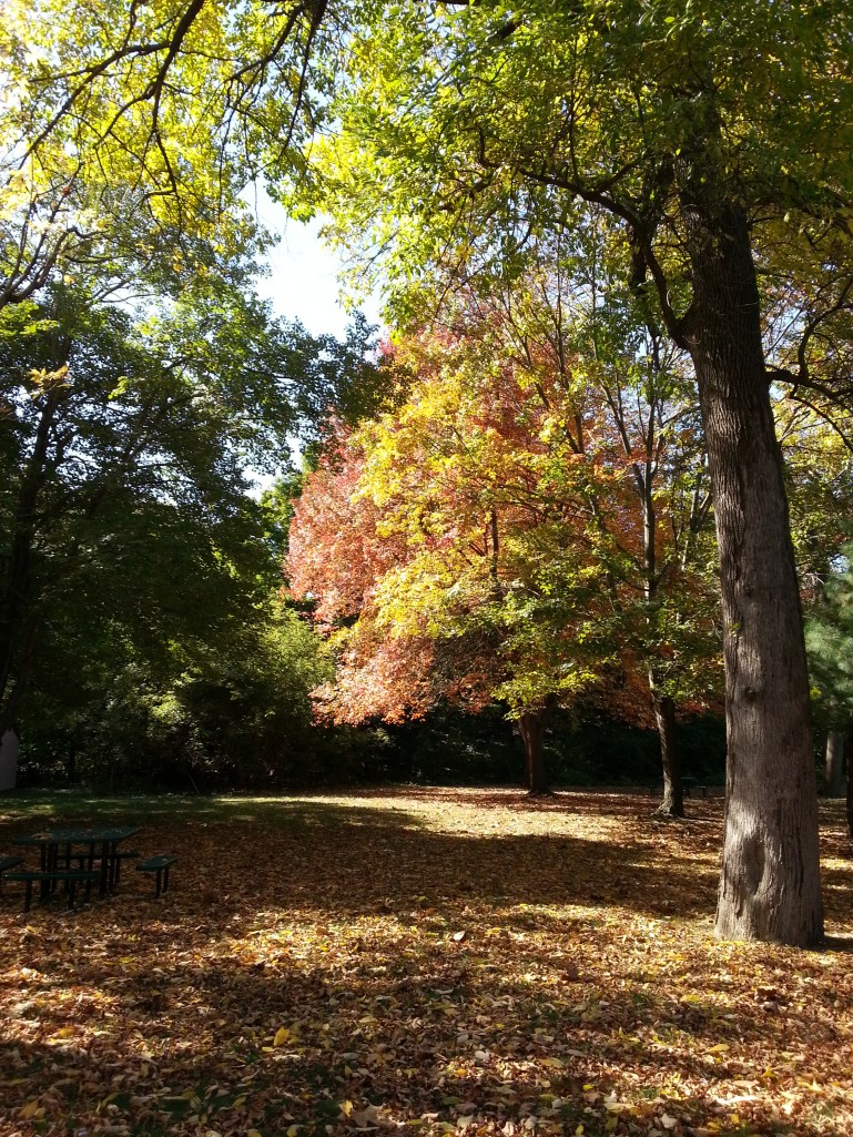 One of the many reasons that autumn is my favorite time of year. 