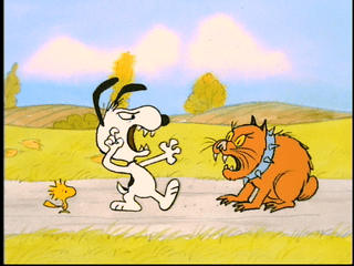 Not very Christmas like at all.