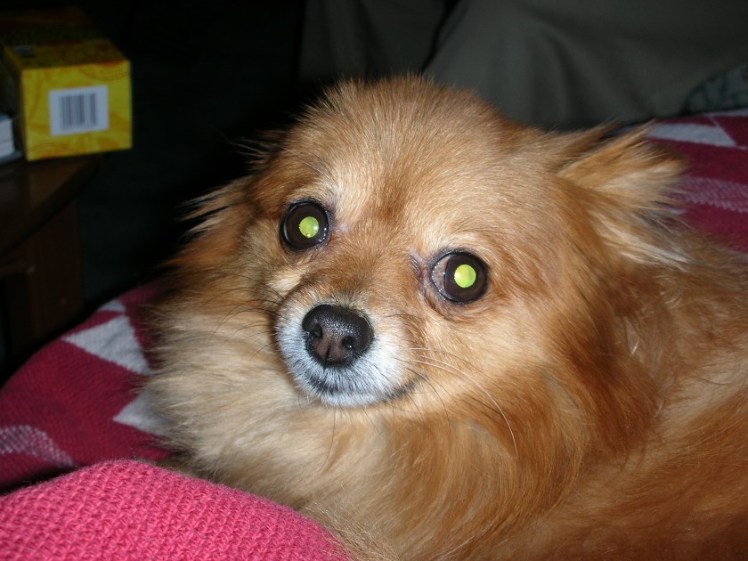 "No flash, Aunt Kelly, please!"