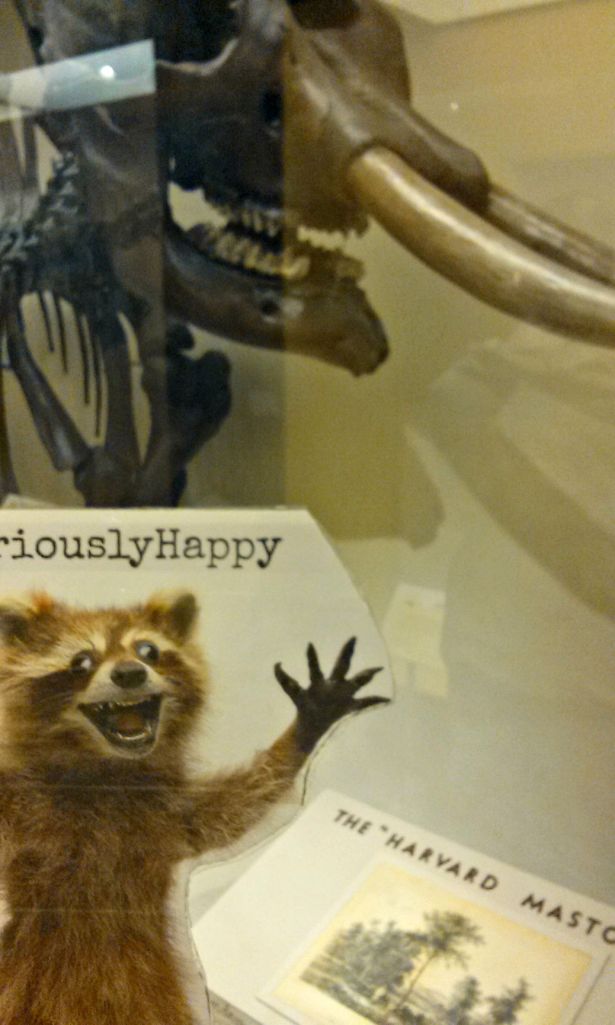 This is the Harvard Mastodon. 