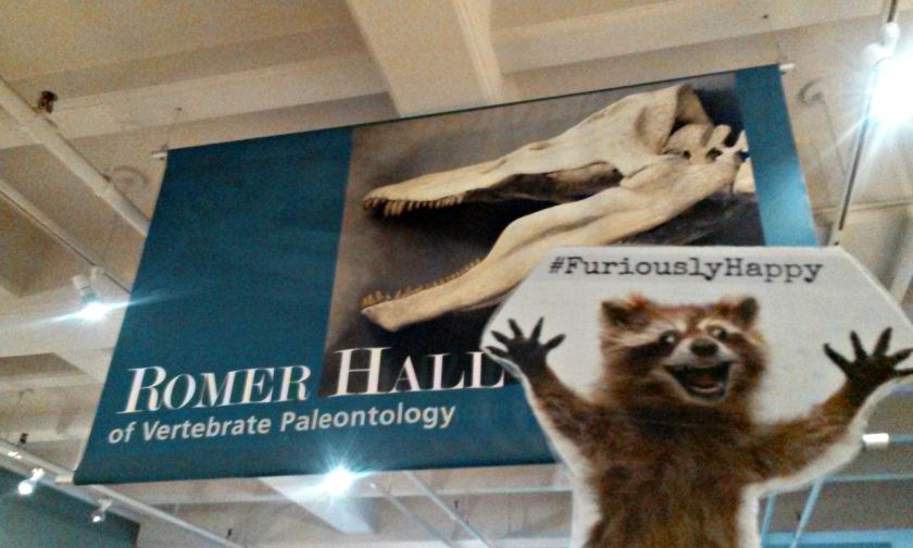 Welcome to the Romer Hall of Vertebrate Paleontology!