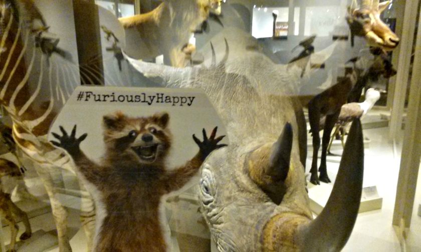 Check out the rhino.  There are several species at the museum.  This was the one that most looked like it wanted to charge.