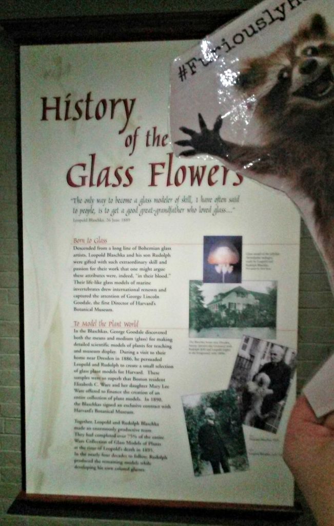 Rory read up on his history before he started checking out the flowers.  Rory's good that way.