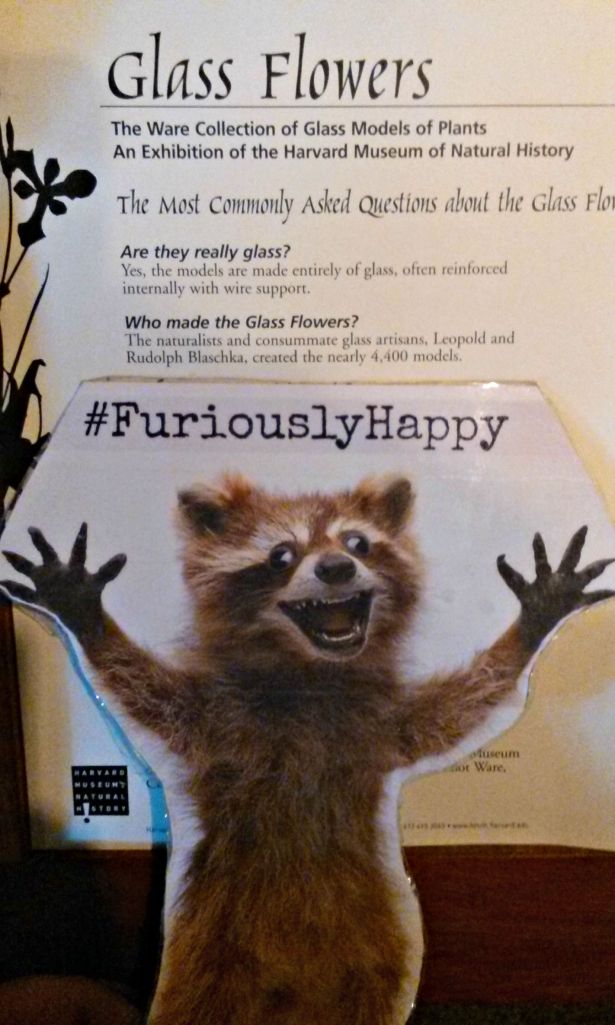 Unfortunately Rory is blocking it so you can't read it all.