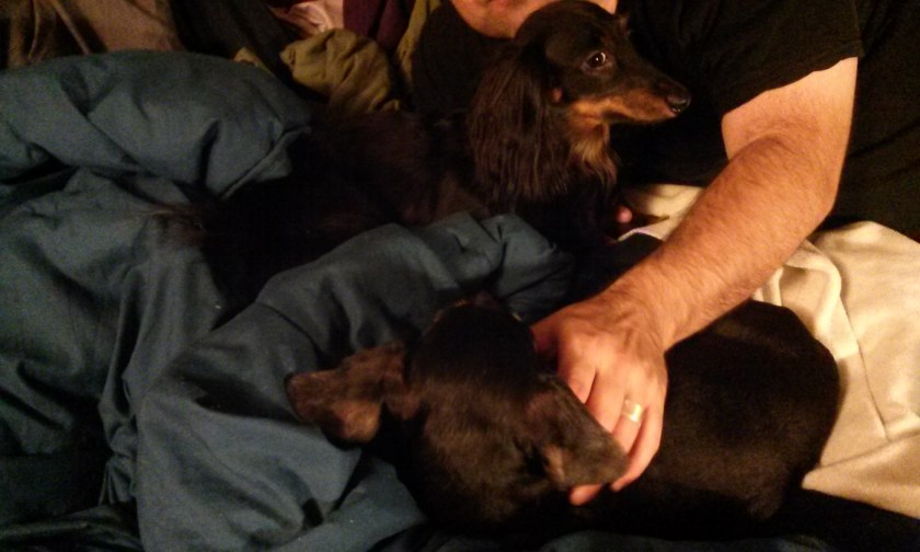 Cuddlefest on the bed when we got home.