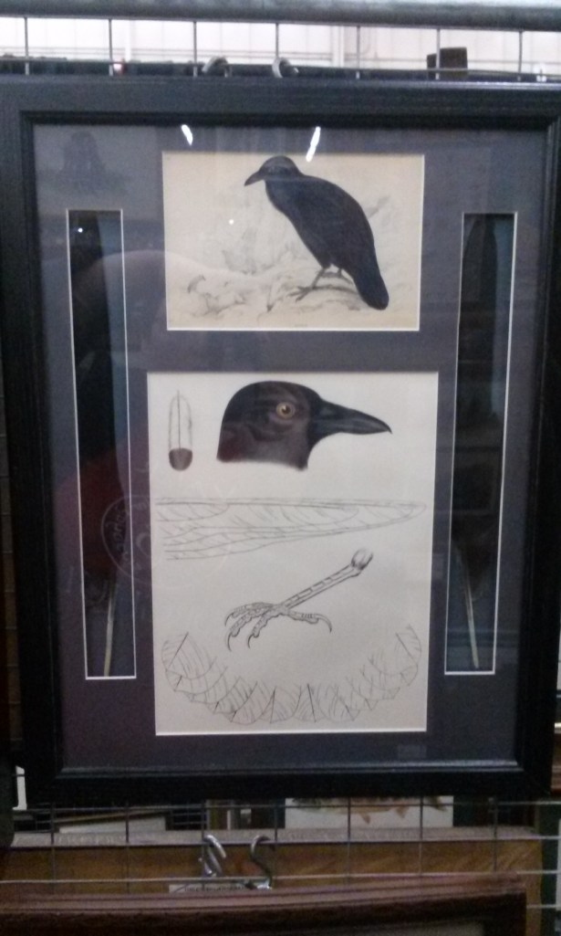 LOVE this one.  All it needs is a quote from Poe.