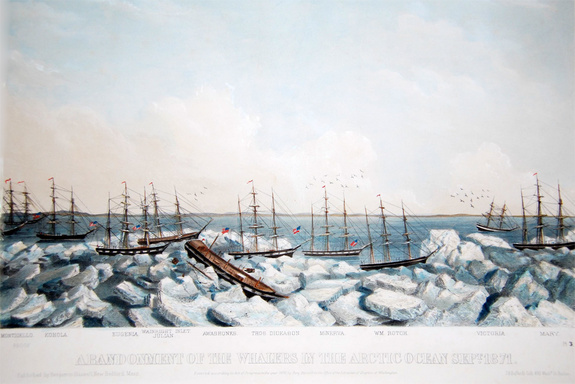 A painting from the period showing many of the ships trapped in the ice. I believe the original is in the whaling museum in New Bedford. 