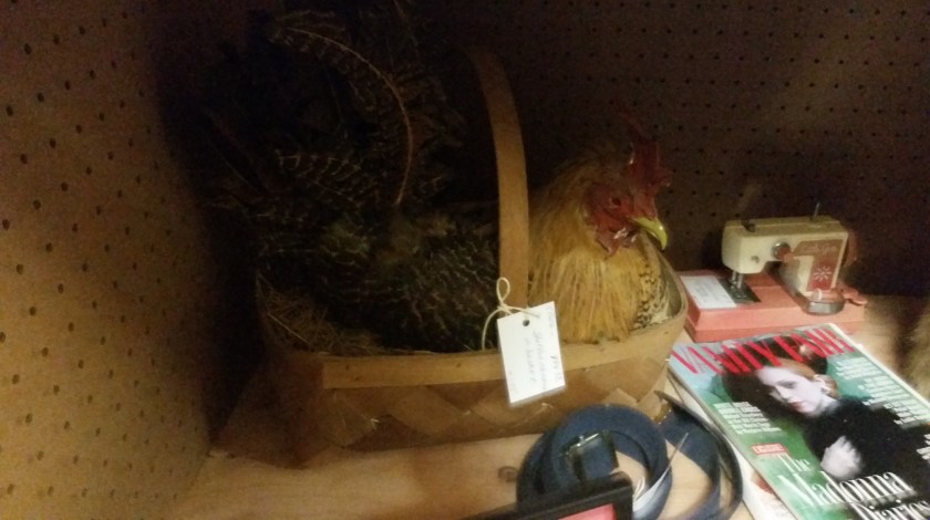 Should you find yourself in need of a taxidermied chicken in a basket they do exist.