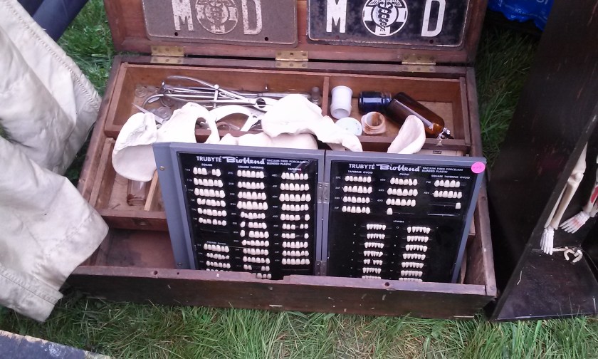 Yes.  Those are teeth.  I hope they're fake teeth.