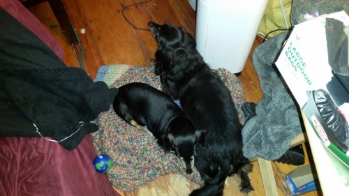 They worried while we were packing.  