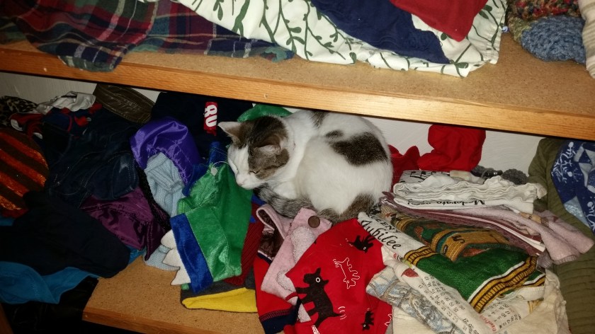 Among her favorite spots are this one shelf in the linen closet.