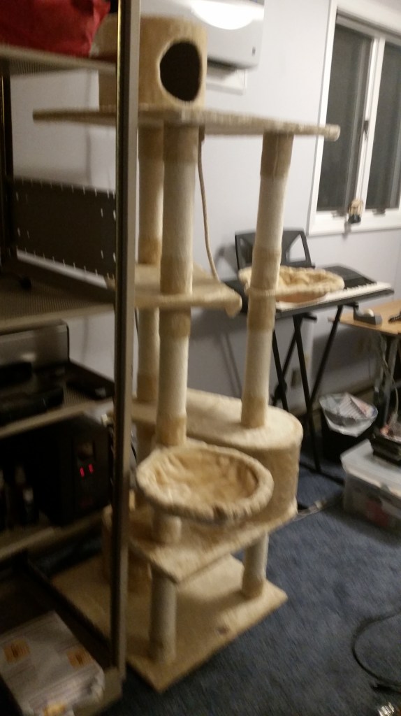 This thing is actually taller than me.